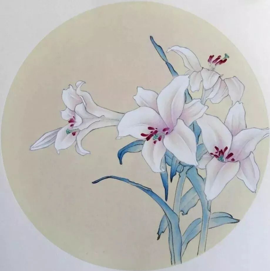 图文教程 工笔 百合花 绘制步骤示范 全网搜