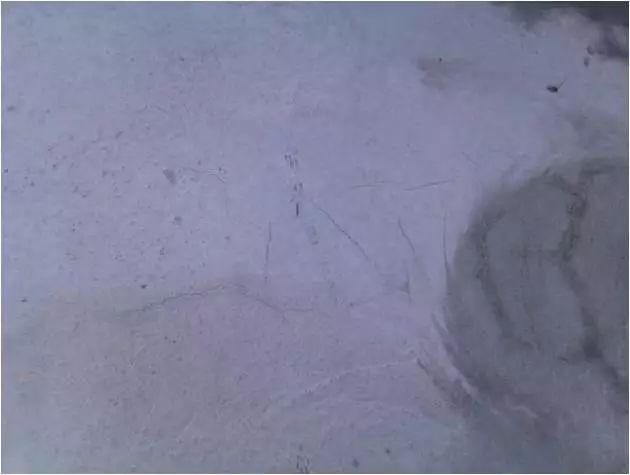 钢筋混凝土施工常见质量问题，监理检查重点都在这了！的图54