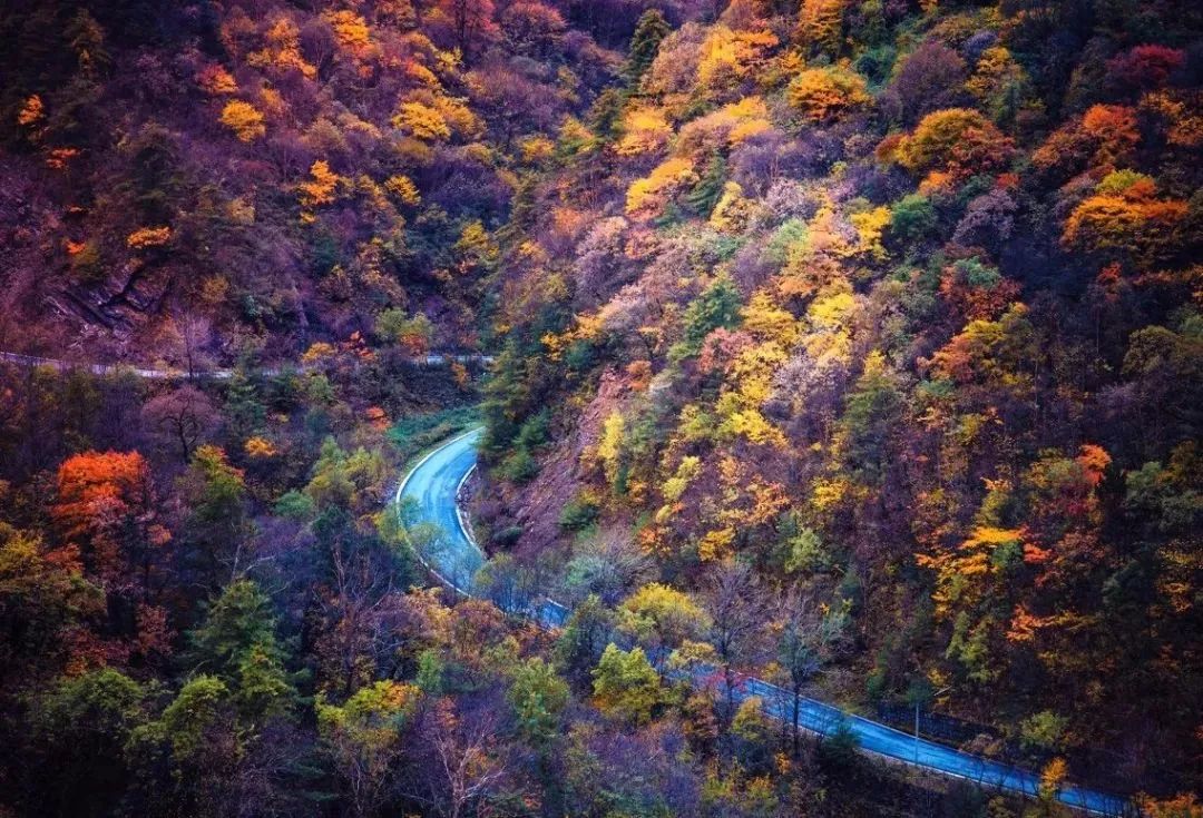 金秋最美的七條自駕路線，不出國門就能欣賞中國的絕美秋色 旅遊 第30張