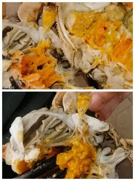 吃“祸”！华人团购大闸蟹被同胞举报？南加州取货点连夜被端，卖家也悲剧了……（组图 - 4
