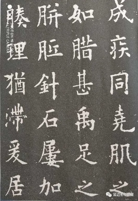 吉林省延吉市举办临帖临画网络展 吉林省延吉市举办临帖临画网络展