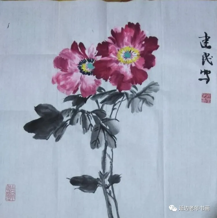 吉林省延吉市举办临帖临画网络展 吉林省延吉市举办临帖临画网络展