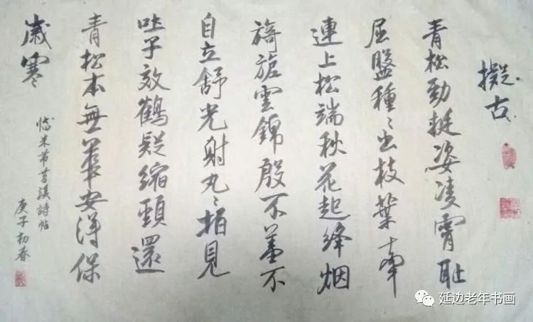 吉林省延吉市举办临帖临画网络展 吉林省延吉市举办临帖临画网络展