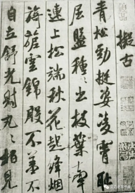 吉林省延吉市举办临帖临画网络展 吉林省延吉市举办临帖临画网络展