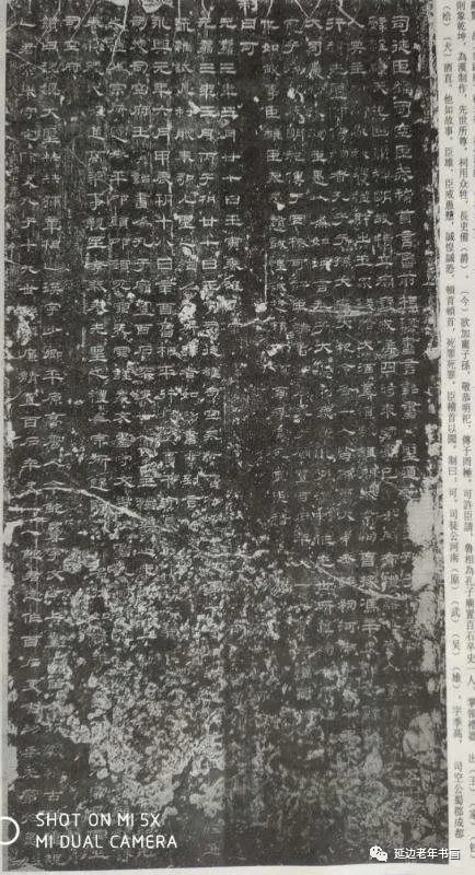 吉林省延吉市举办临帖临画网络展 吉林省延吉市举办临帖临画网络展