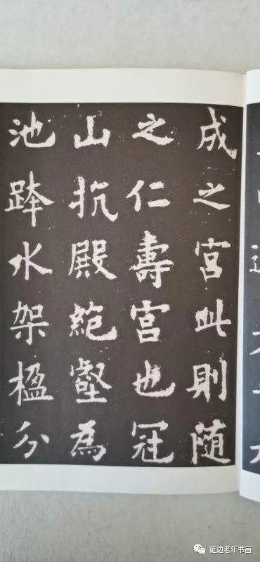 吉林省延吉市举办临帖临画网络展 吉林省延吉市举办临帖临画网络展