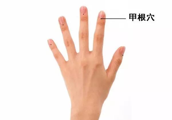 提神 掐甲根穴