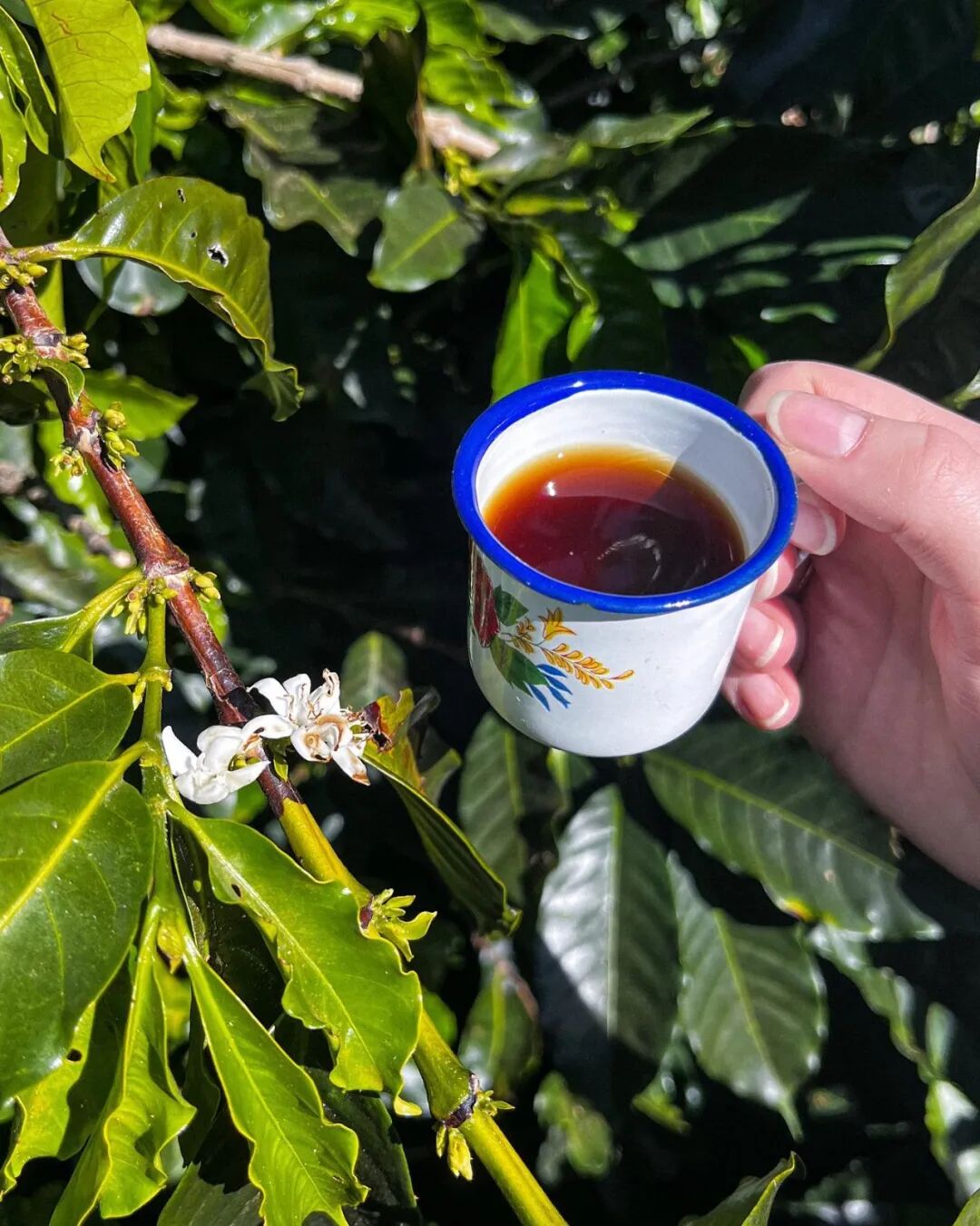 免签！世界杯上赢过中国的那个国家，如今给这两地护照开后门了！