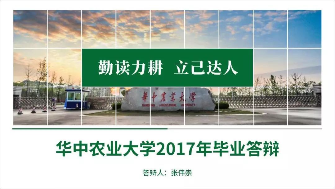 ppt表格边框颜色怎么设置