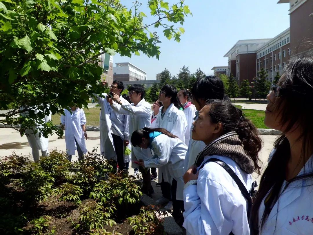 长春医学高等专科学校分数线_长春医学高等专科多少分_长春医学高等专科学校最高分