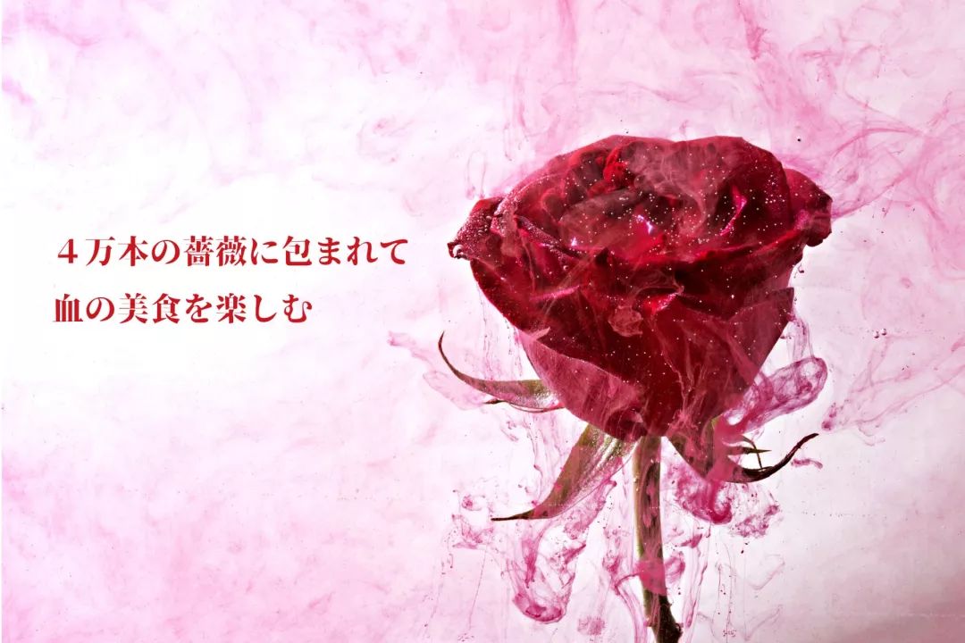 《东京喰种》主题餐厅开放，用40000朵蔷薇打造“