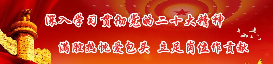 肢体器材有哪些【康复辅具百科（三）】：肢体残疾康复训练的常用辅具有哪些？_https://www.jmylbn.com_新闻资讯_第3张