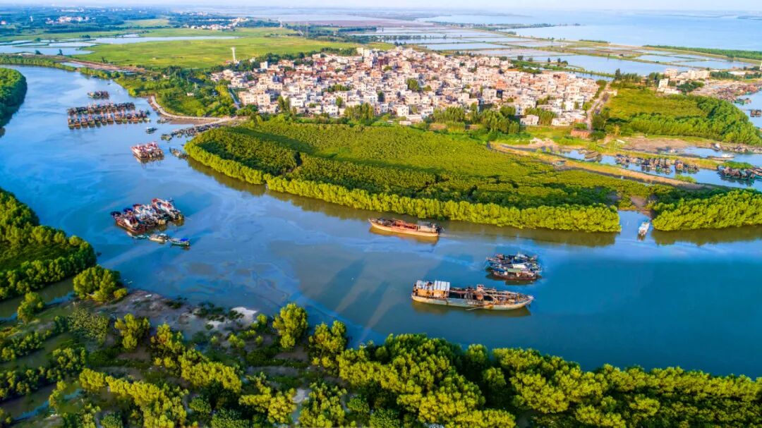 2020麻章醉美乡村旅游节正式启动乡村田野的柔情风光等你来体验