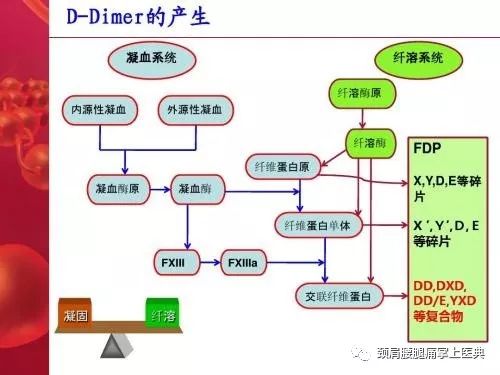 凝血、抗凝、纤溶系统