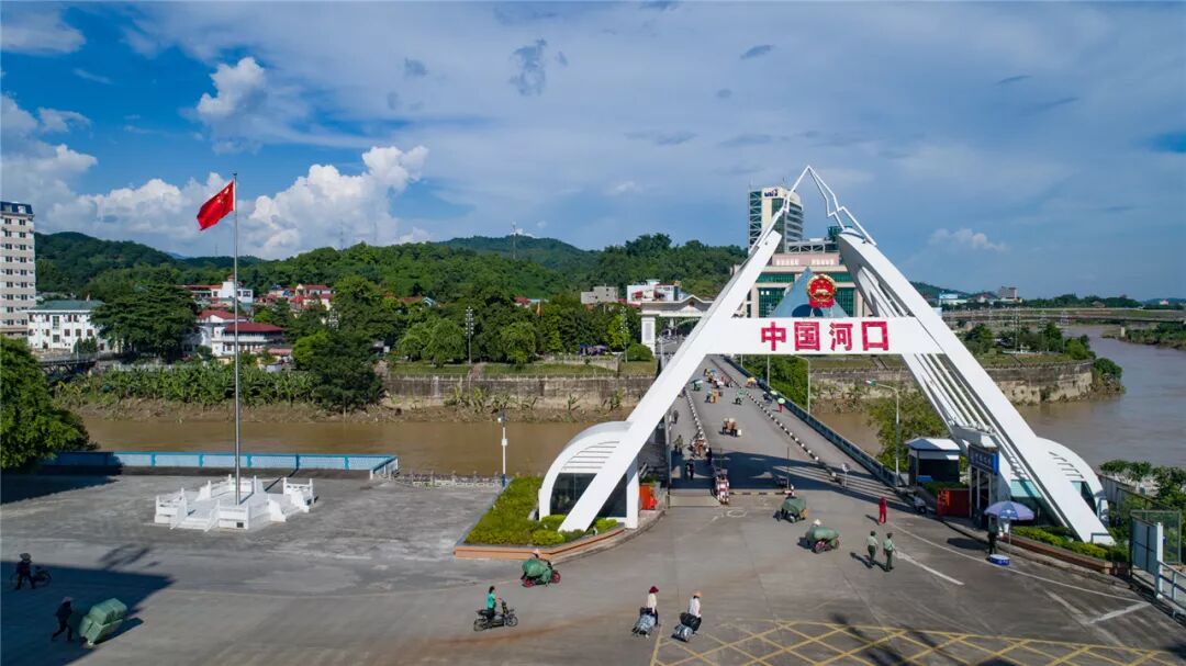 越南海鲜"游"进河口,怎一个鲜字了得