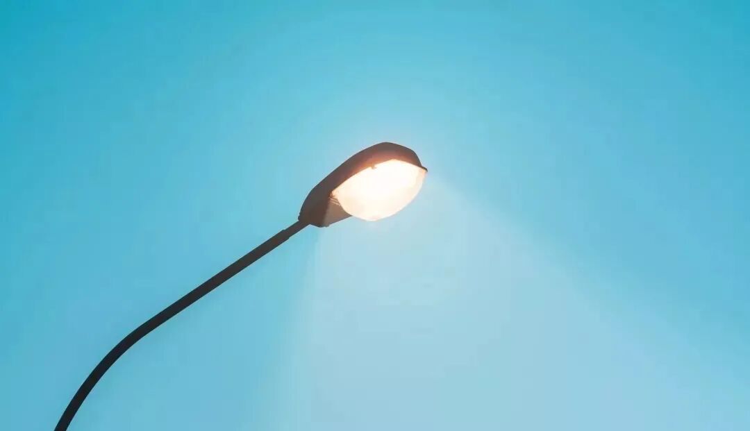 第一学历是填本科还是学士_学历可以填本科在读吗_第二学历是本科