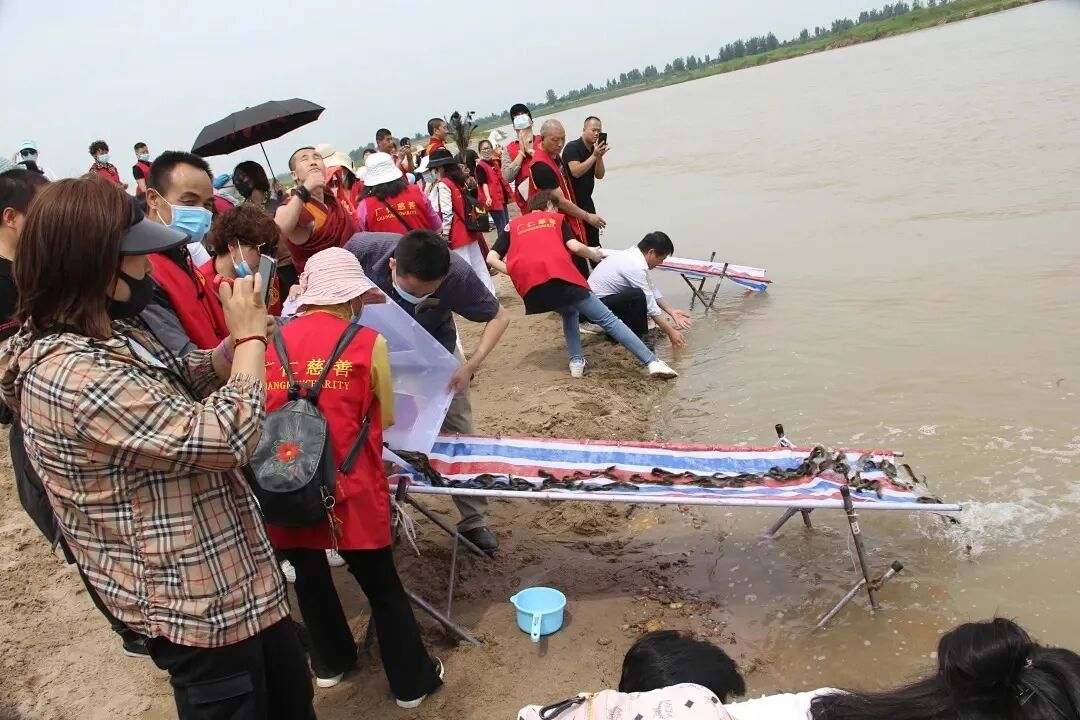 观音丨2021年西安广仁寺观音菩萨成道日放生活动通启