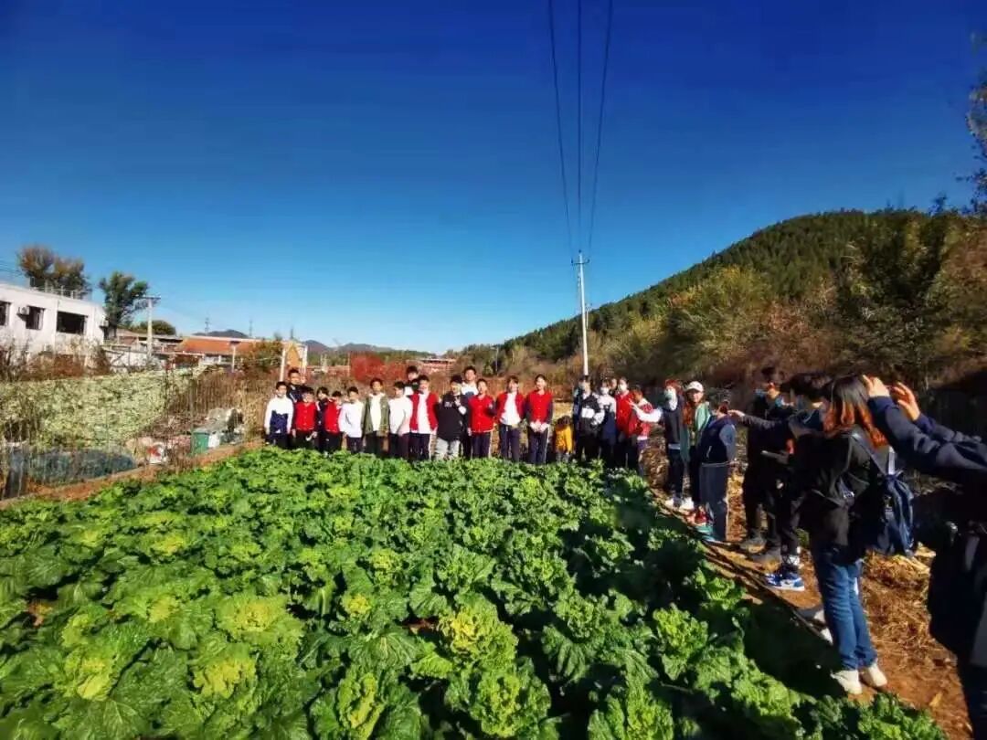 中华巡游 | 劳作实践，天天向上——龙之风采第12届中华巡游