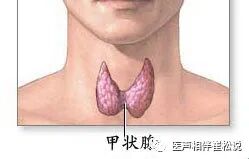 女性甲亢早期脖子两侧图片_甲亢突眼正常图片_甲亢脖子和正常脖子图片