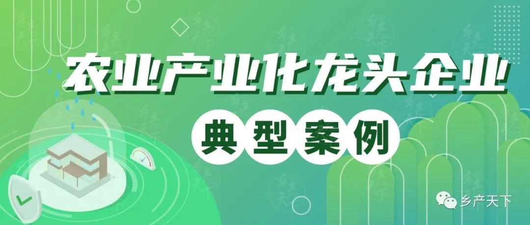 农民致富经_致富农民的心理_致富农民事迹登报纸