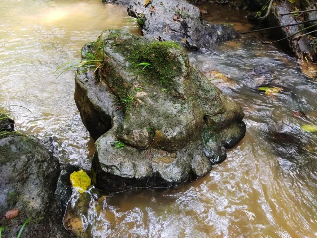 美炸！柳州附近竟藏著一個神秘景點「石中河」！還有清涼瀑布… 旅遊 第31張