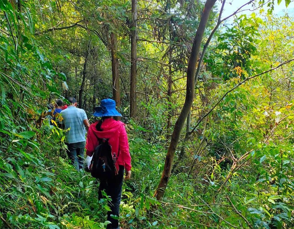 美炸！柳州附近竟藏著一個神秘景點「石中河」！還有清涼瀑布… 旅遊 第10張