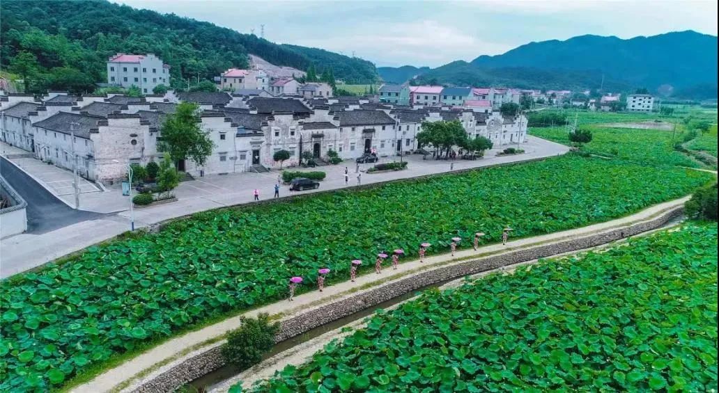 全省首批试点山下湖成绍兴唯一入选乡镇还有这些村