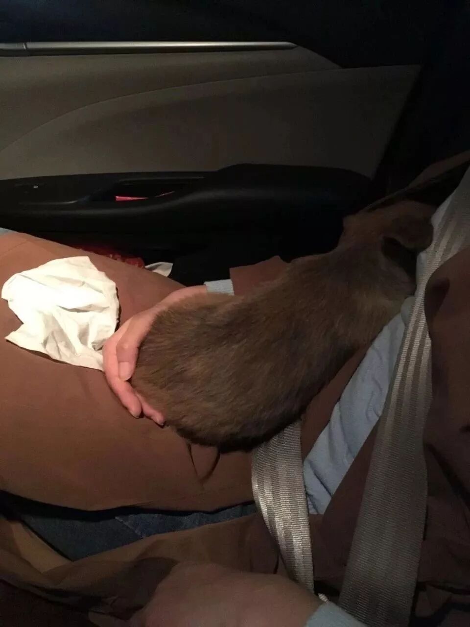 640?tp=webp&wxfrom=5&wx_lazy=1&wx_co=1