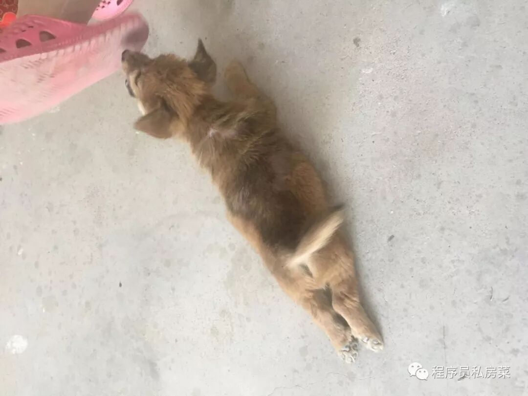 640?tp=webp&wxfrom=5&wx_lazy=1&wx_co=1