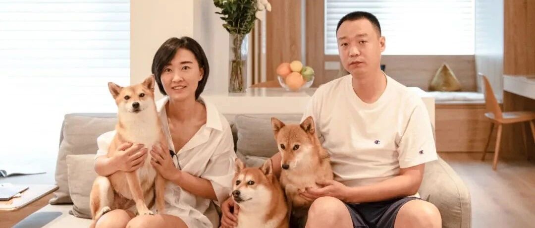 72㎡两居变一居，解锁两人三狗神仙生活！网友：人不如狗系列