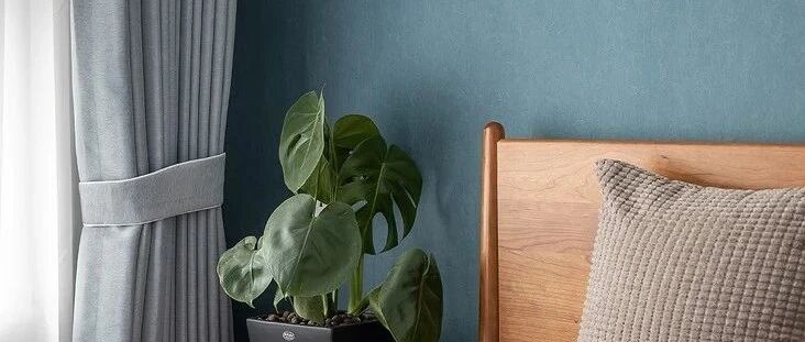 家里的床千万别靠墙放，不信你看！