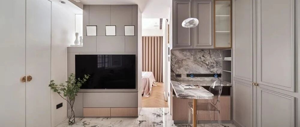 一人一狗蜗居30㎡，把精装公寓住成法式豪宅，大写的“服”！