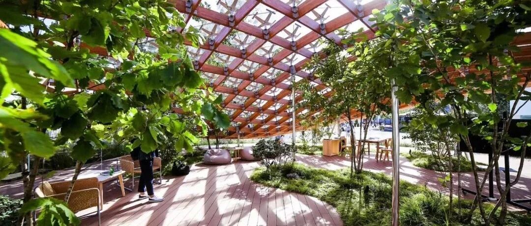 北京夫妻两年无收入，造1500㎡植物园：跟一草一木学做人