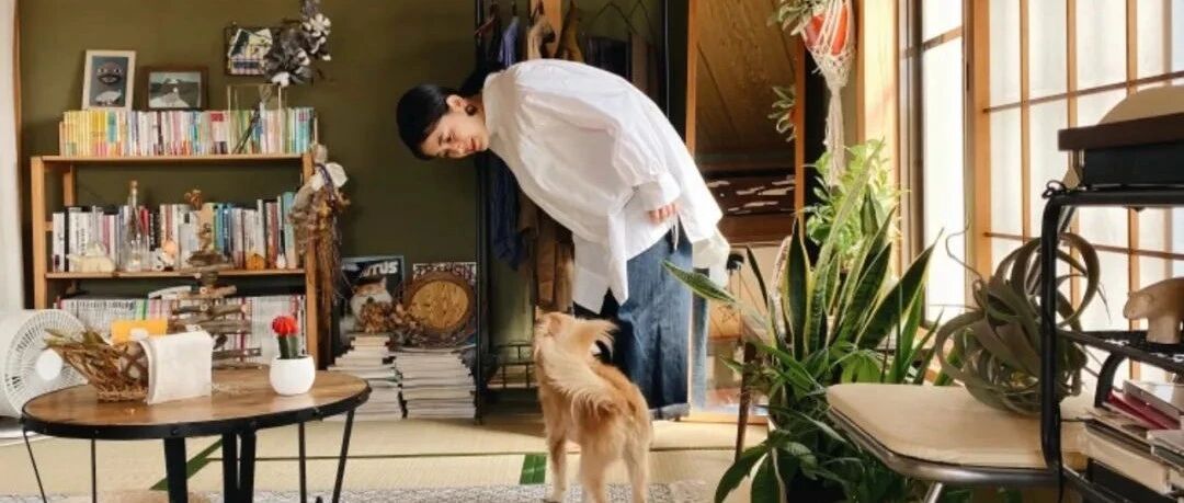 一人一狗蜗居19㎡小屋，引来3万人围观羡慕！高收入小姐姐展示什么叫岁月静好！