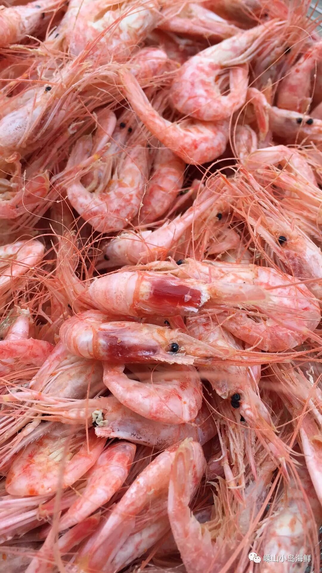 野生海虾的家常吃法和家庭保存法