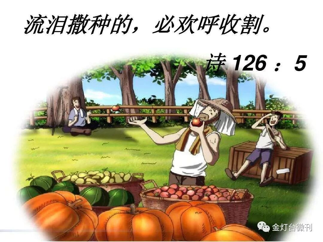 流泪撒种 欢呼收割 自由微信 Freewechat
