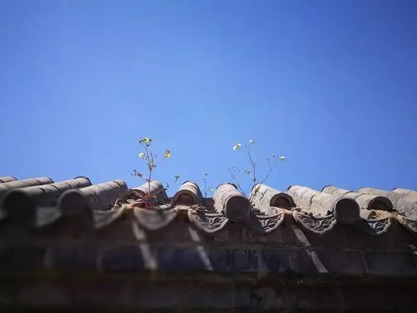 出去到日月山川里，身在首山第一峰