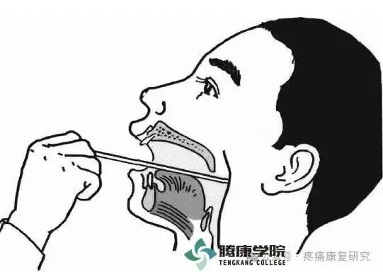 叩诊锤的怎么用康复必备：41个常见的神经反射检查_https://www.jmylbn.com_新闻资讯_第22张