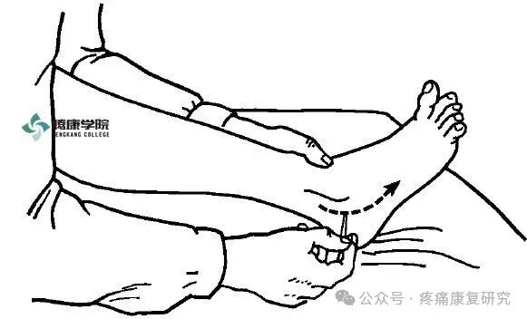 叩诊锤的怎么用康复必备：41个常见的神经反射检查_https://www.jmylbn.com_新闻资讯_第35张