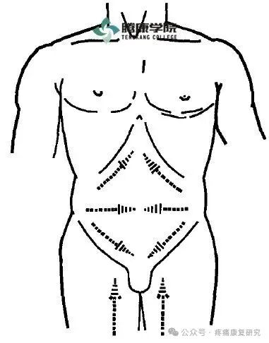 叩诊锤的怎么用康复必备：41个常见的神经反射检查_https://www.jmylbn.com_新闻资讯_第23张