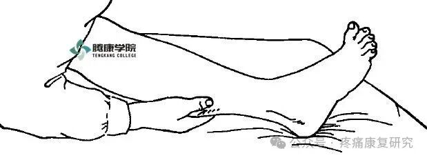 叩诊锤的怎么用康复必备：41个常见的神经反射检查_https://www.jmylbn.com_新闻资讯_第37张