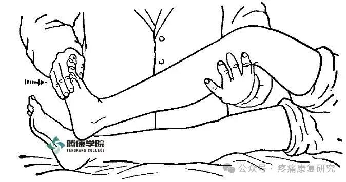 叩诊锤的怎么用康复必备：41个常见的神经反射检查_https://www.jmylbn.com_新闻资讯_第14张