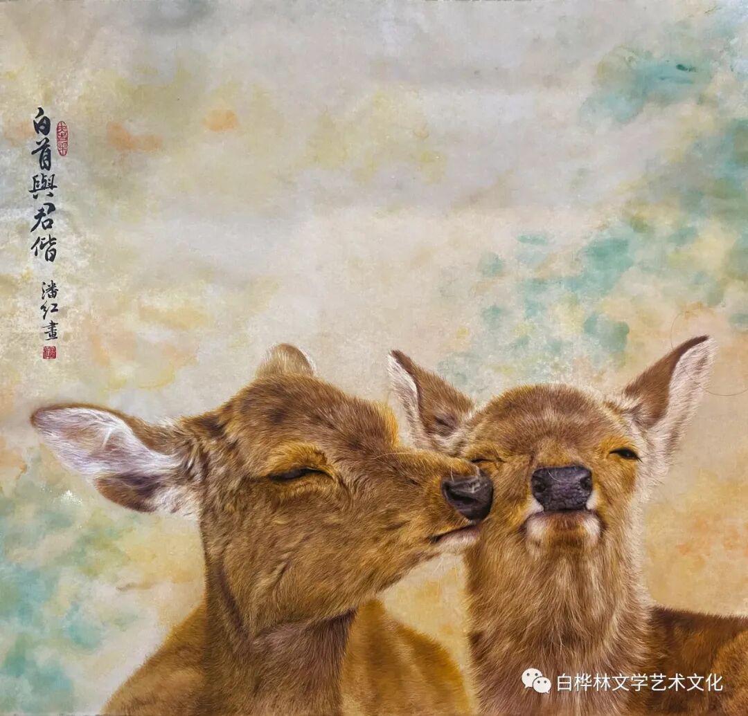 mmexport803274848378d44c804a3d489ba596b7_1682646559822