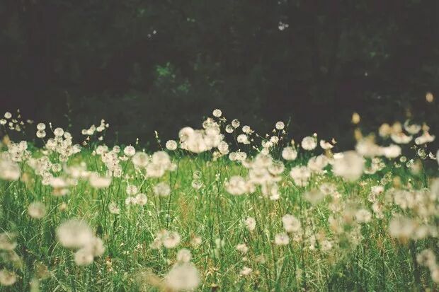 初心を忘れず_忘初心不忘的意思_不忘初心方得始终什么意思