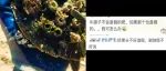 不会还有人不知道你最爱的这类视频是作假的吧？
