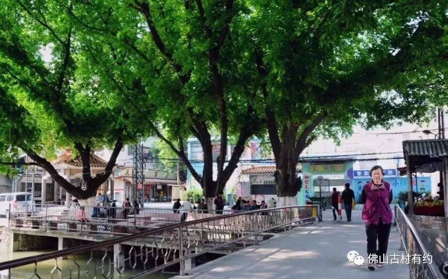 在佛山，上海竟然只是一条村？！