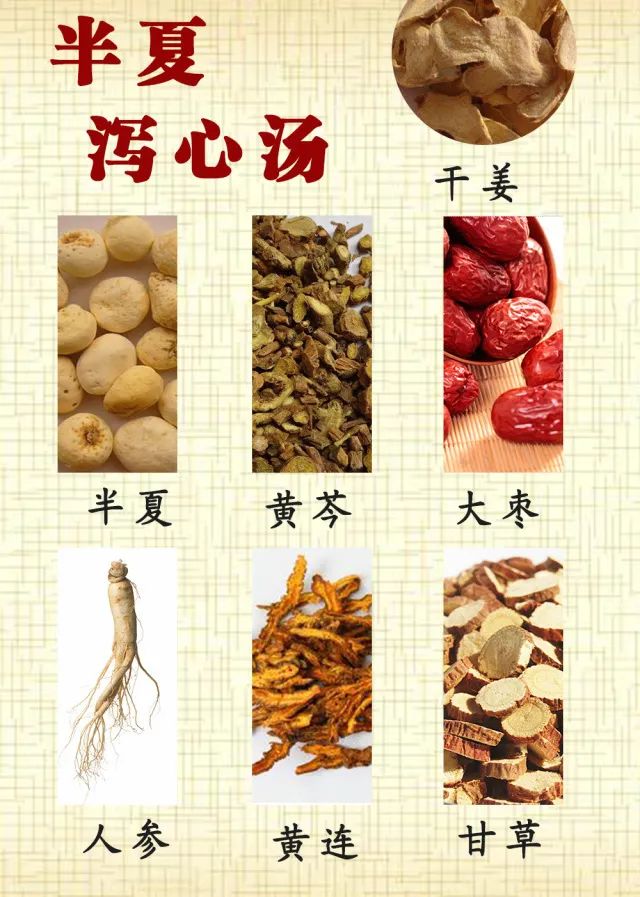 经典名方——半夏泻心汤