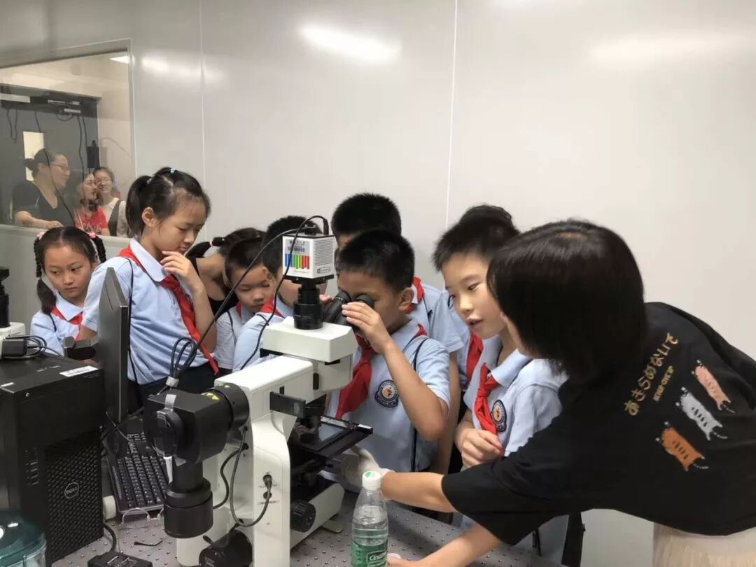 这个夏天，与科学相遇 ——南欣暑期科普活动圆满落幕(图2)