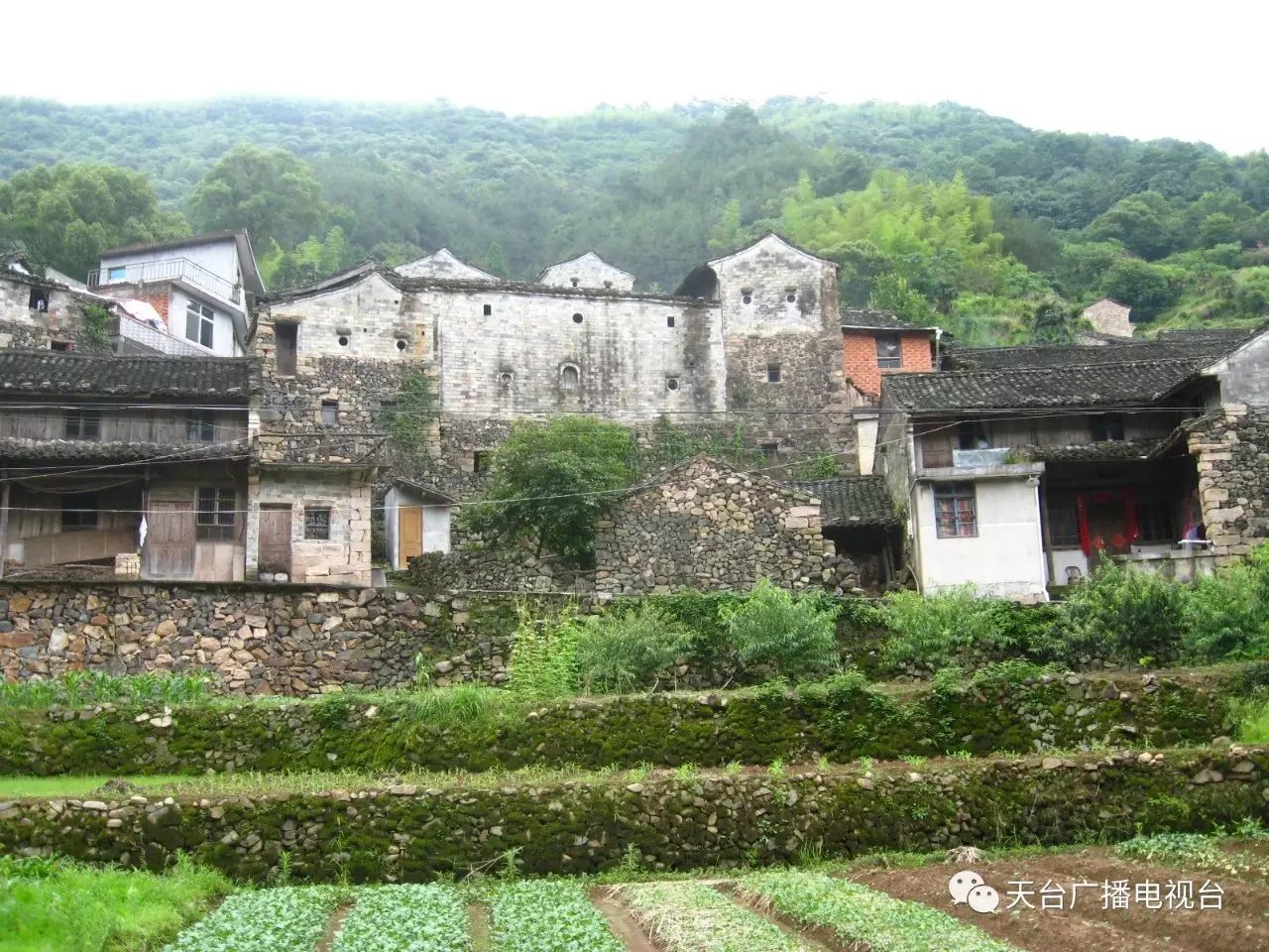 浙江省台州市天台县三合镇朗树前村边上有岩店村,同宜村,寺前村,人杰