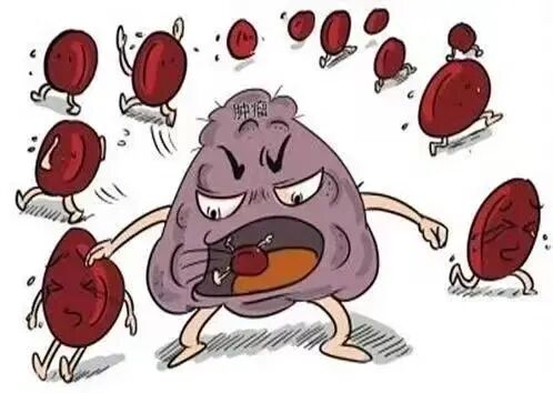 什么是臭氧大自血疗法健康科普 ｜ 三氧大自血疗法：以己之血，治己之病_https://www.jmylbn.com_新闻资讯_第17张